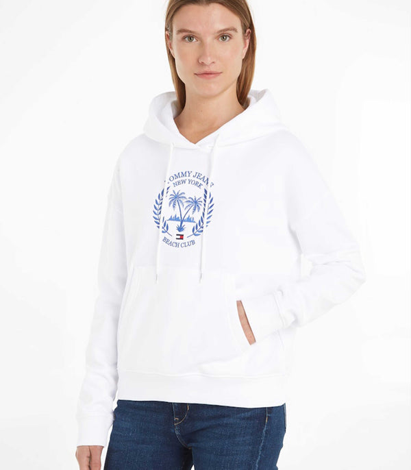 Embroidery Hoodie Brand (High Copy)